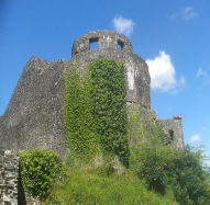 Dinefwr Castle