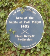 Battle of Pwll Melyn
